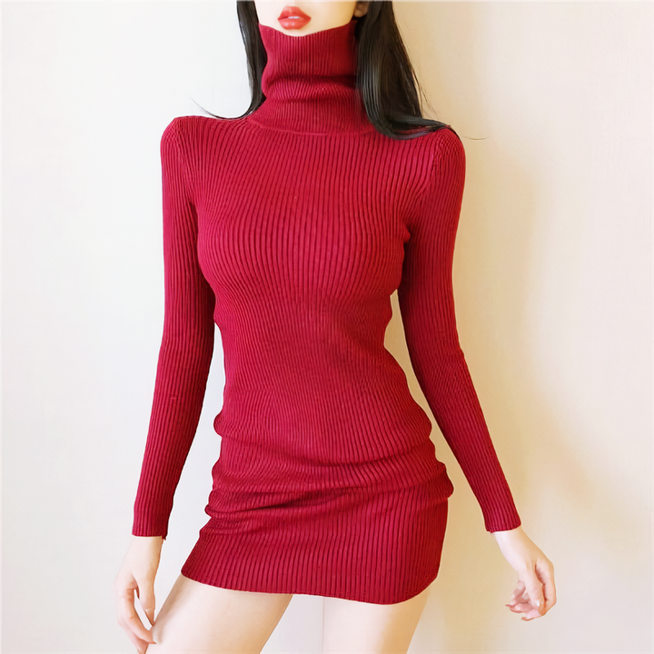 ハイネックリブミニワンピース